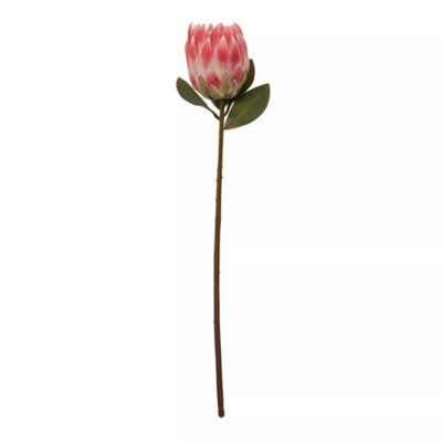 Orsina Fiori 62Cm Protea Stem Pink Flower Artificial Plant Foliage from B&Q