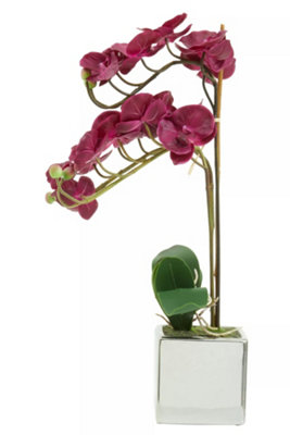 Orsina Fiori Aubergine Orchid Plant Artificial Plant Foliage from B&Q