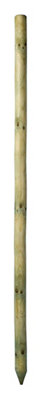 Grange Timber Tree Pole 180Cm from B&Q