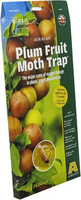 Agralan Plum Moth Trap Pack Of 1 from B&Q