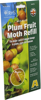 Agralan Plum Moth Refill Pack Of 1 from B&Q