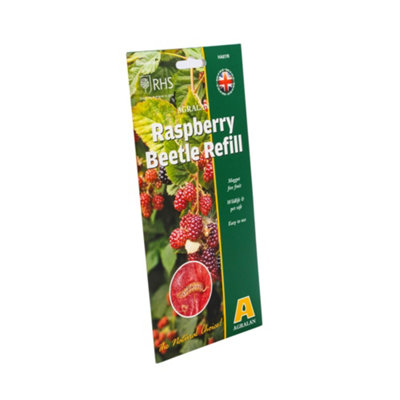 Agralan Raspberry Beetle Pheromone TrapRefill Pack from B&Q