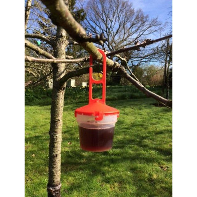 Agralan Swd Summer Soft Fruit Trap from B&Q