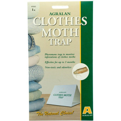 Agralan Clothes/carpet Moth Sticky Pheromone Trap from B&Q