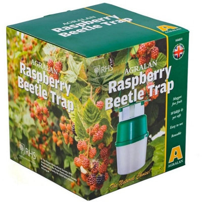 Agralan Raspberry Beetle Natural Pheromone Trap from B&Q