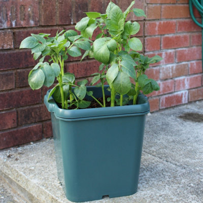 Agralan Potato Gro-Pot Patio Vegetable Patio PlanterPack Of 3