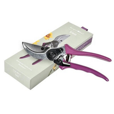 Burgon & Ball Asteraceae Secateurs from B&Q