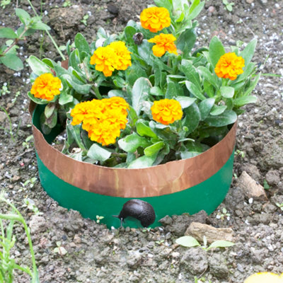 Katcha Slug & Snail Barrier Circles 4M from B&Q