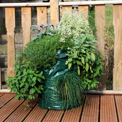 Greena Reusable Herb Planter Bag from B&Q