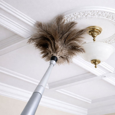 Home Valet Ostrich Feather Duster With Extendable Handle from B&Q