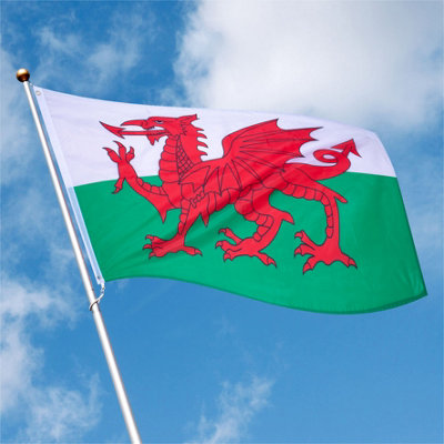 St Helens Home & Garden Welsh FlagInc. Holes 150X90Cm In Vivid Colours from B&Q