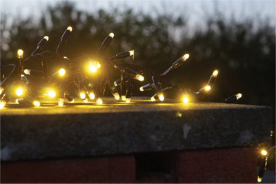 B&Q -  Cluster Lights Black Rubber Ip65 Warm White 30M