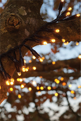 B&Q -  Cluster Lights Black Rubber Ip65 Copper Gold 40M