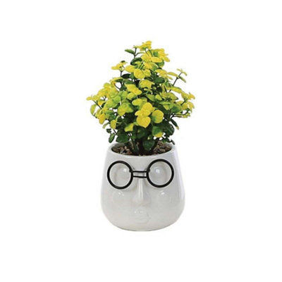 Primrose Artificial House Plant In White Pot With Black Glasses Design 17Cm from B&Q