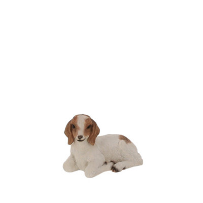 Terrastyle WhiteBrown Resin Goat Garden Ornament (H)19.5Cm (W)16.2Cm from B&Q