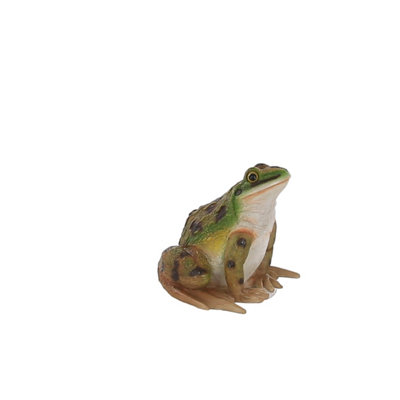 Terrastyle GreenWhite Resin Toad Garden Ornament (H)16.5Cm (W)17.5Cm from B&Q