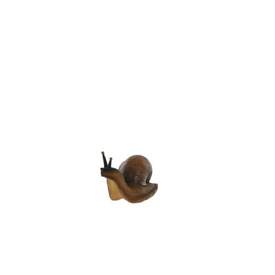 Terrastyle Brown Resin Snail Garden Ornament (H)10Cm (W)7Cm from B&Q