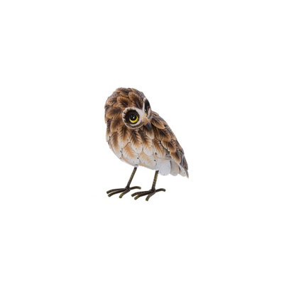 B&Q -  Brown Steel Owl Garden Ornament (H)21Cm (W)11.5Cm