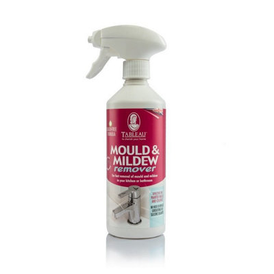 Tableau Bleach Free Mould And Mildew Remover Spray 500Ml from B&Q