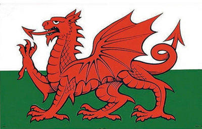 Eddingtons Welsh Dragon Of Wales Tea Towel 100% Cotton from B&Q