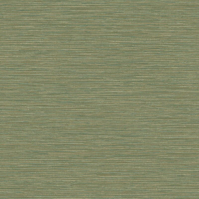 Holden Décor Grasscloth Texture Wallpaper Green Holden 66232 from B&Q