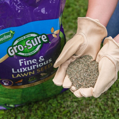 B&Q -  Fine & Luxurious Lawn SeedFine-BladedDisease Resistant 30Sqm