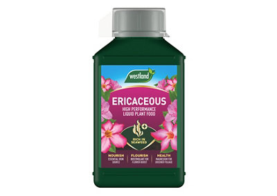 Westland Ericaceous Liquid Flower Plant Feed1L from B&Q
