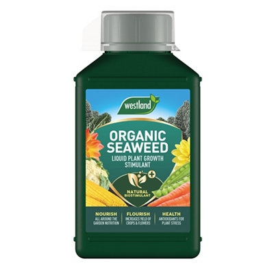 Westland Seaweed Liquid Seaweed Plant Feed1L from B&Q