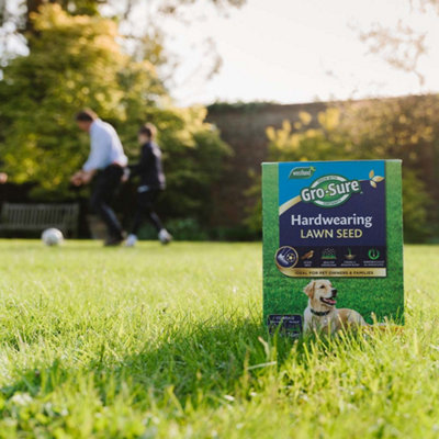 B&Q -  Hardwearing Lawn Seed 900GPet-ResistantHigh-Traffic Grass Mix (Covers 350 M²)