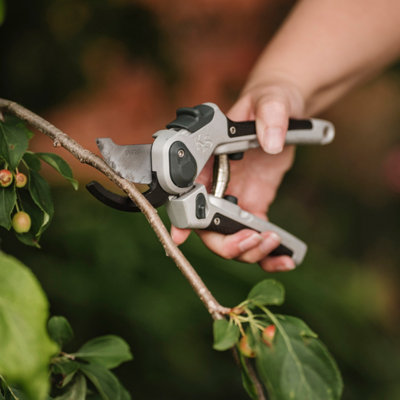 Shop garden hand tools and equipment.