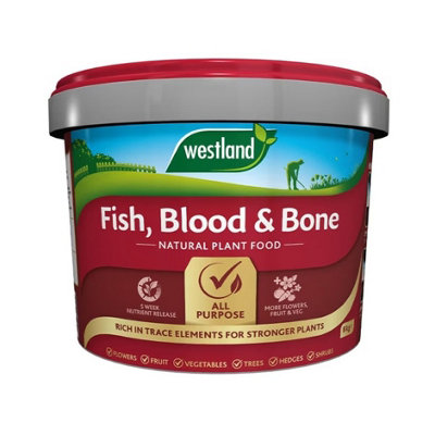 Westland Fish Blood & Bone All Purpose Natural Plant Food 8Kg Tub Stronger Plant from B&Q