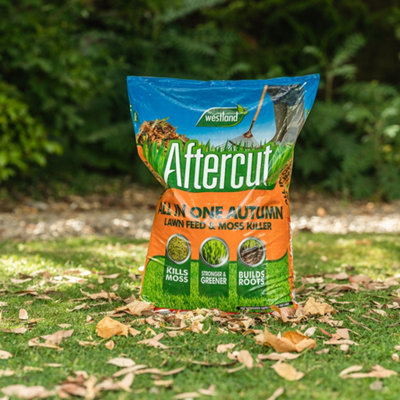Aftercut All In One Autumn Lawn Feed And Moss Killer 100 G Granular from B&Q