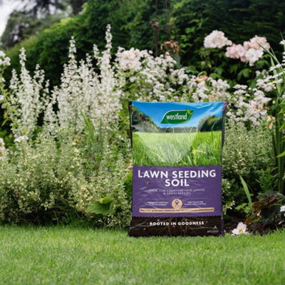 Westland Lawn Seeding Soil 30L Zinc Enriched Fine Grade For Improved Germination And Strong Rooting from B&Q