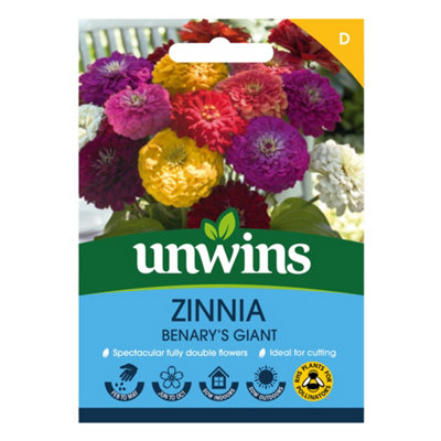 Unwins Zinnia Benary's Giant Easy To Grow Seeds from B&Q