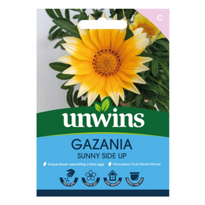 B&Q -  Gazania Sunny Side Up Easy To Grow Seeds