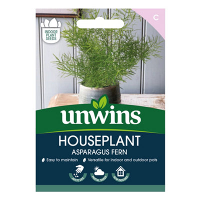 B&Q -  Houseplant Asparagus Fern Easy To Grow Seeds