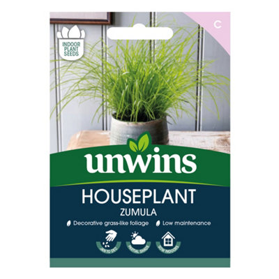 B&Q -  Houseplant Zumula Easy To Grow Seeds