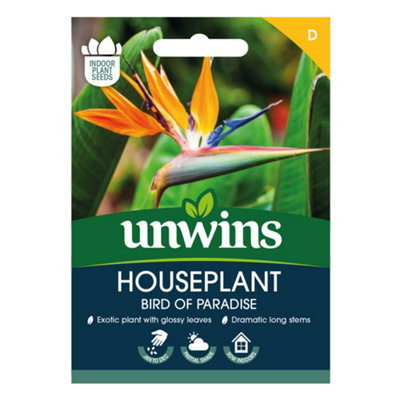 Unwins Houseplant Bird Of Paradise (Strelitzia Reginae) from B&Q