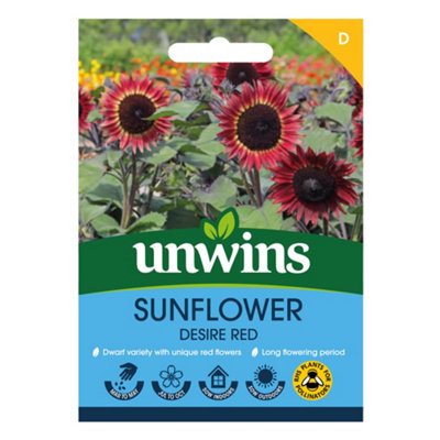 Unwins Sunflower Desire Red Easy To Grow Seeds from B&Q