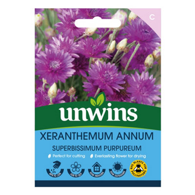 Unwins Xeranthemum Annum Easy To Grow Seeds from B&Q