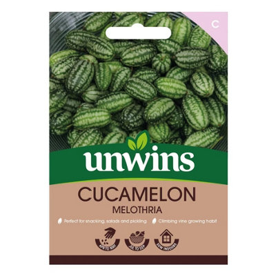 Unwins Cucamelon Easy To Grow Seeds from B&Q