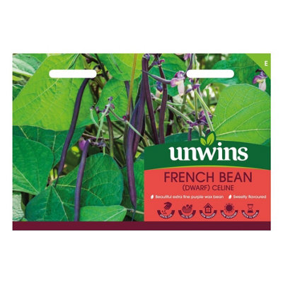 Unwins French Bean Dwarf Celine Easy To Grow Seeds from B&Q
