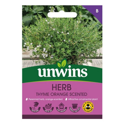 Unwins Herb Thyme Orange Scented Easy To Grow Seeds from B&Q
