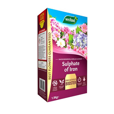 Westland Sulphate Of Iron Fertiliser Granules 42M² 1.5Kg from B&Q