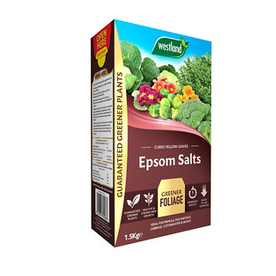 Westland Epsom Salts Fertiliser Granules 85M² 1.5Kg from B&Q