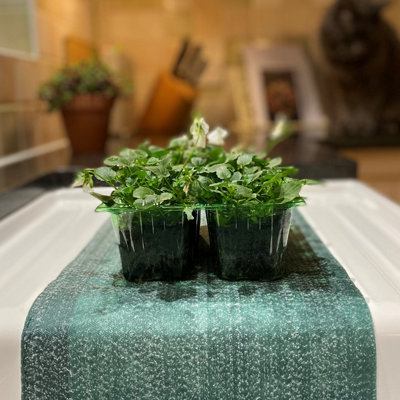 Selections Water Absorbent Capillary Matting Roll For Plant Pot Watering (5M X 0.53M) from B&Q