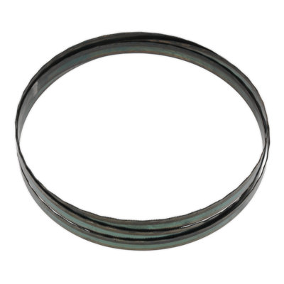 Sealey Bandsaw Blade 1638 X 13 X 0.63mm 24 Tpi Hardened Cutting Edges Sm5/113/24 from B&Q