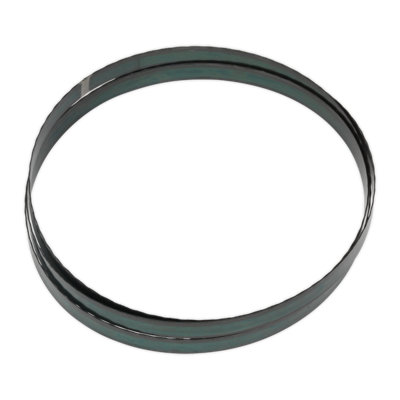 Sealey Blade With Hardened Cutting Edges 2362 X 19 X 0.81mm 24 Tpi Sm35/b24 from B&Q