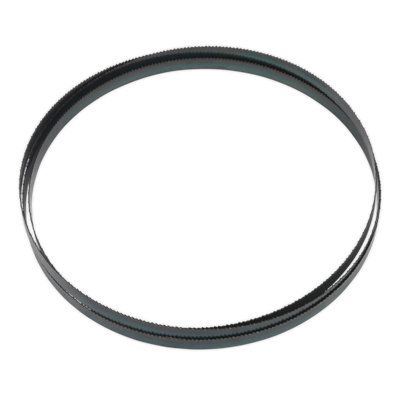 Sealey Blade With Hardened Steel Teeth 2240 X 12 X 0.6mm 10 Tpi Sm1305B10 from B&Q