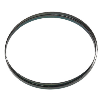 Sealey Blade With Hardened Steel Teeth 2400 X 12 X 0.6mm 24 Tpi Sm1306B24 from B&Q